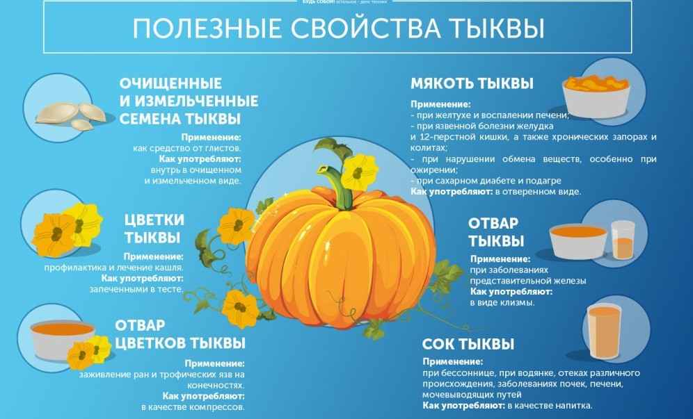 Тыква — польза
