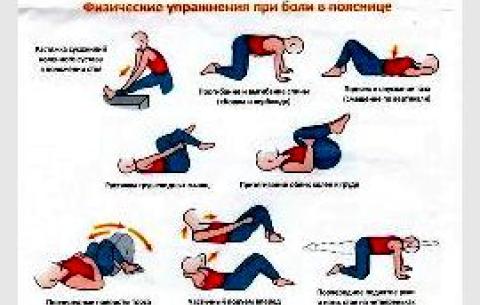 7 вправ для попереку