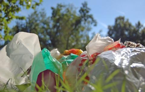 Як у світі борються з поліетиленовими пакетами