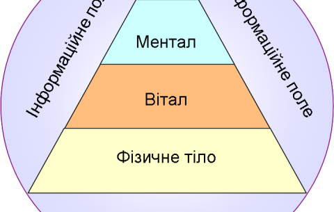 Ми. Суспільство. Всесвіт.