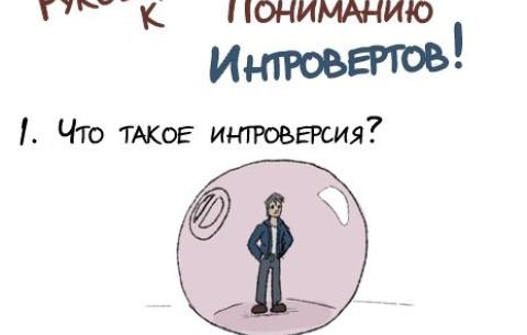 Руководство к понимаю интровертов